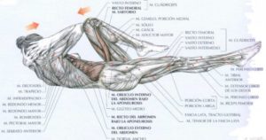 Abdominales estilo bicicleta