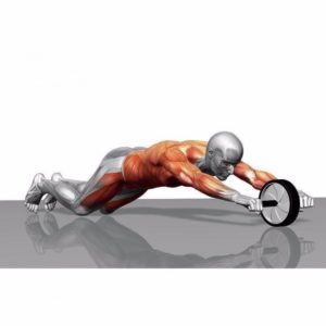 ab roller